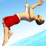 Wacky Flip